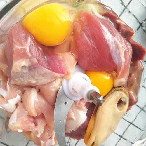 娇气的猫咪,喵星人是怎么养的