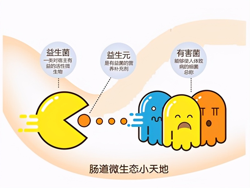 奶粉中最接近母乳的成分是什么,母乳奶粉成分对比表