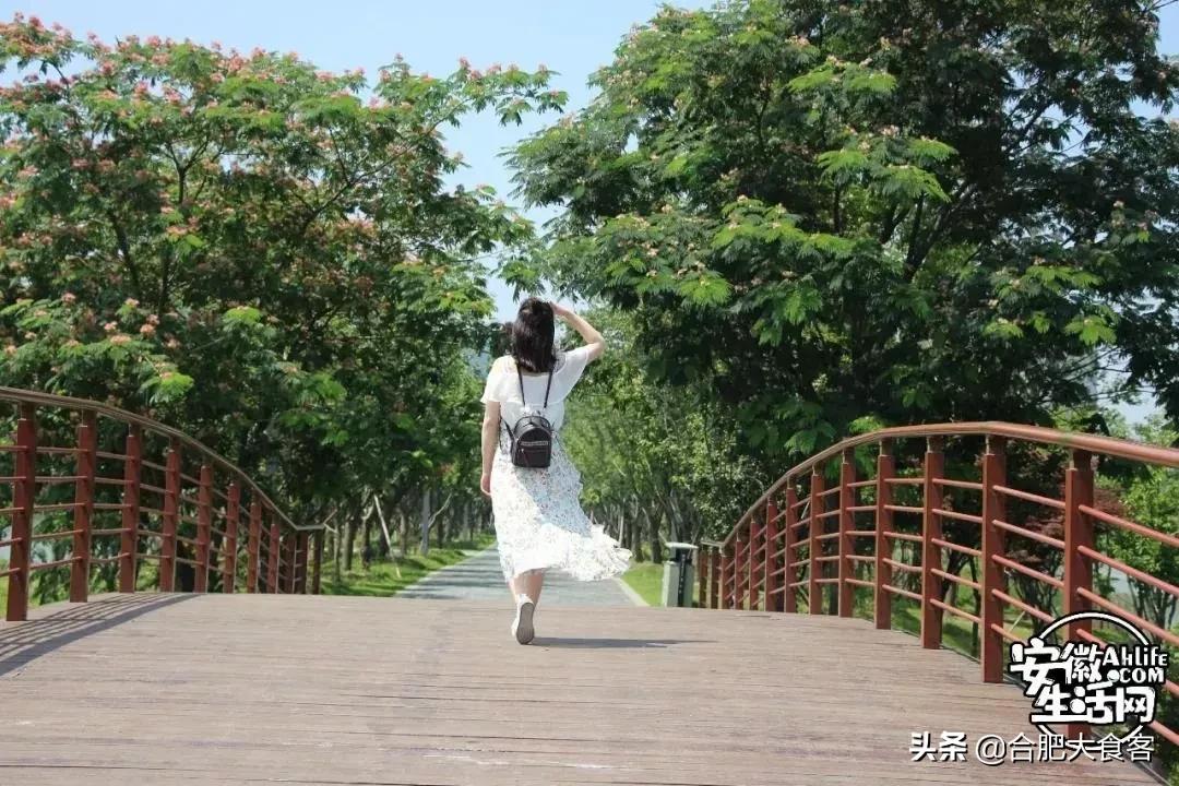 2020年，在这50个地方遇见不一样的合肥