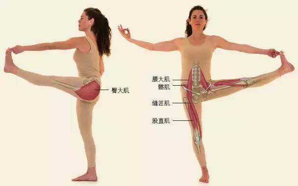 久坐颈肩腰疼怎么缓解,长期久坐脖子不舒服腰酸背痛