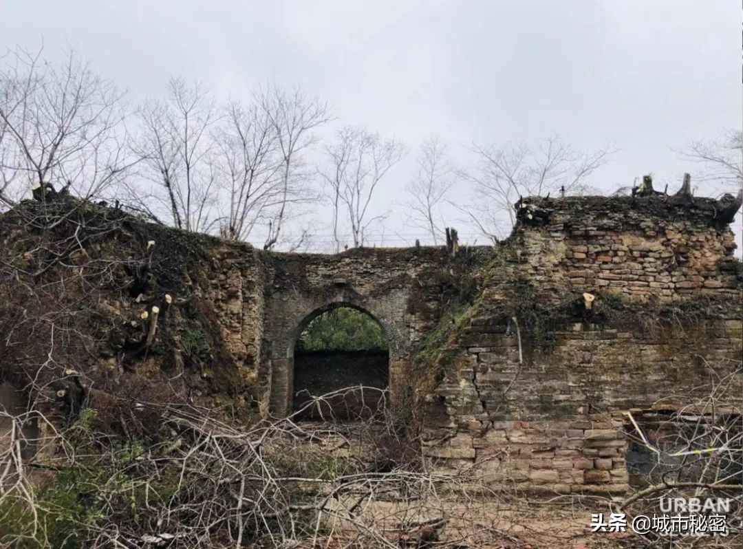 金庸谈衢州,金庸笔下浙江江山市