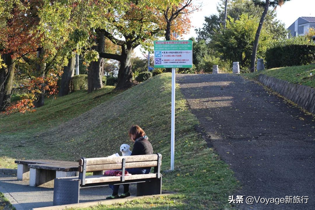 如果一生只能去一次北海道,如果一生只能去一次甘南