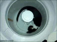 衣服洗不干净小妙招,怎么防止洗衣服时衣服变旧