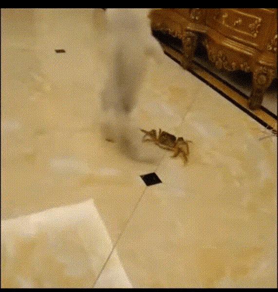 捡到了u盘里面会有什么,捡到一个u盘还好没有用