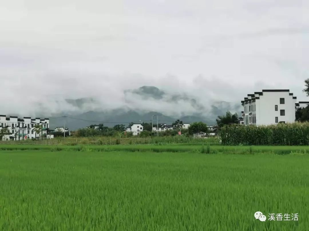 西溪南古村落惬意慢生活,徽州西溪南生活