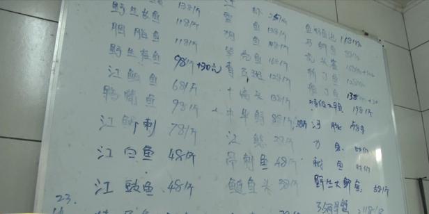 4万尾鲫鱼一年成本,鲫鱼一条成本多少钱