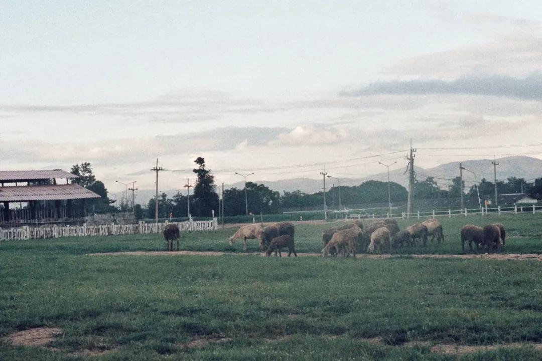 在泰国体验出家人生活,在泰国体验岛民生活