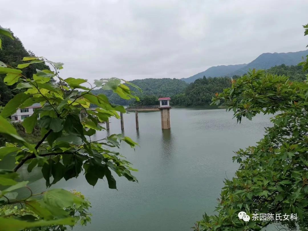 良性乳腺增生病，首选中医药治疗