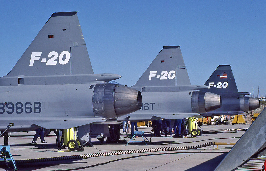 虎鲨悲剧,极富悲剧色彩的虎鲸