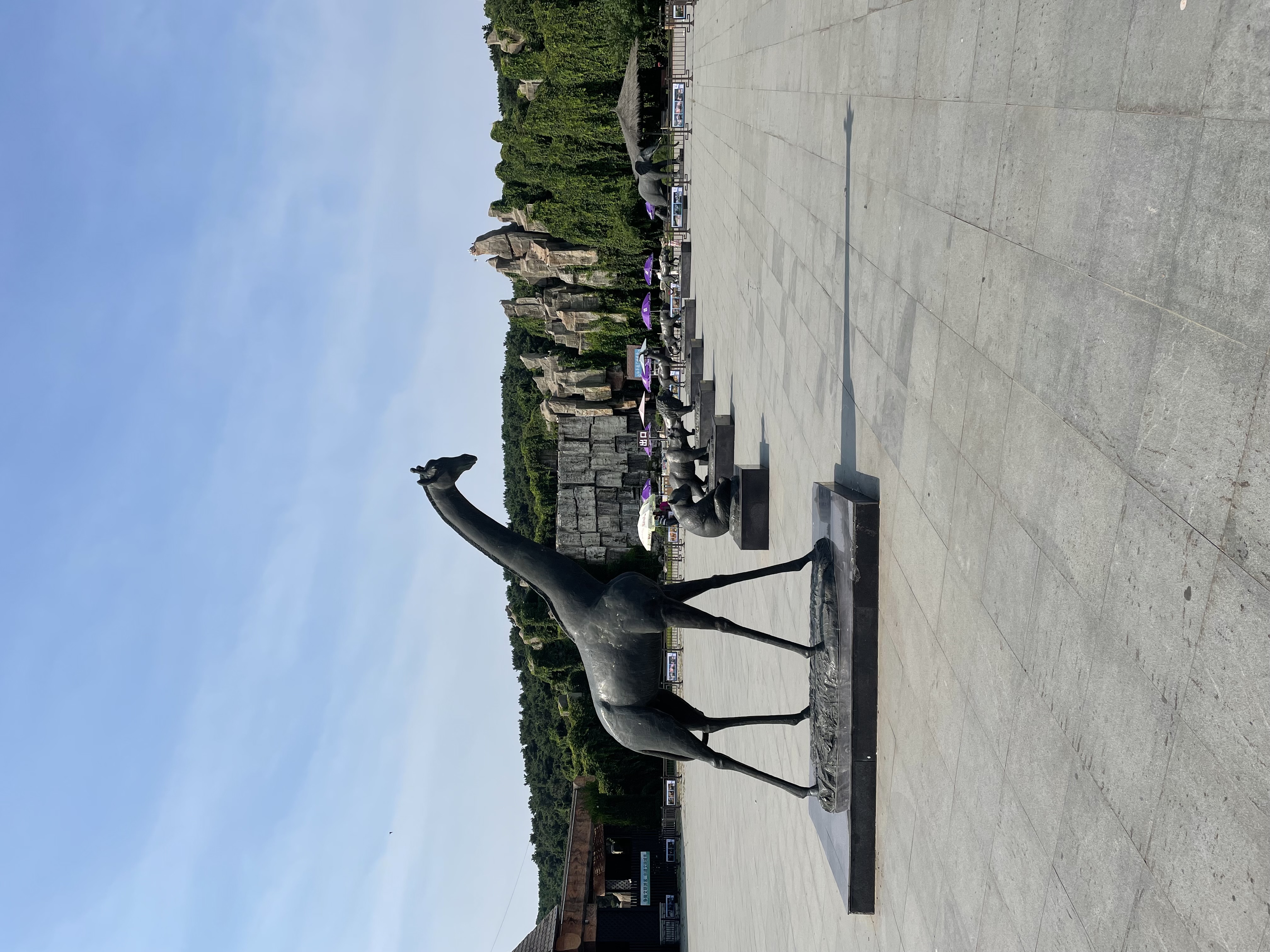 沈阳森林动物园春游,五一小长假去沈阳森林动物园游玩