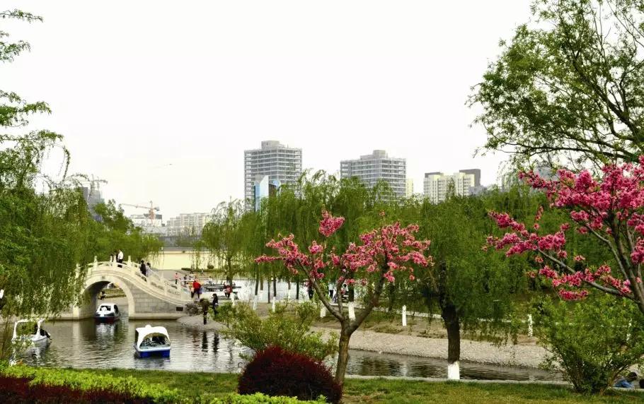 廊坊市赏花踏青第一名,廊坊赏桃花景点
