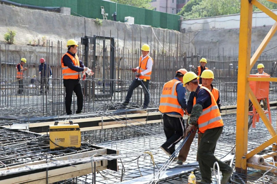 金水“孤品”，看常绿风起云涌