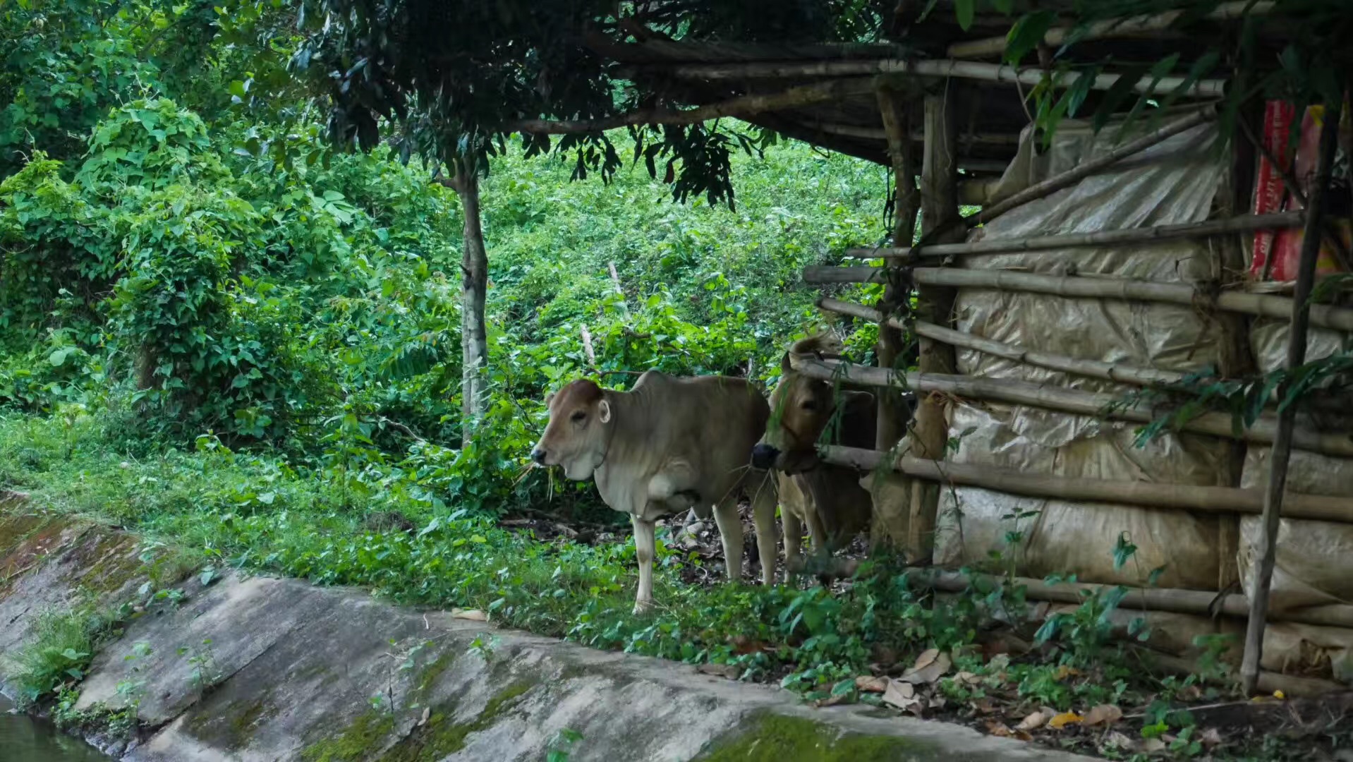 泰国免签入境需要看酒店信息,泰国签证必须提供全程酒店入住单