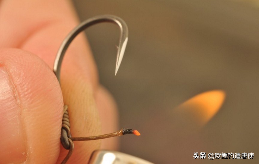 欧鲤钓钓组篇,欧鲤钓组和飞德钓组