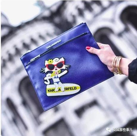 老佛爷的猫继承多少遗产,老佛爷去世后财产留给了一只猫