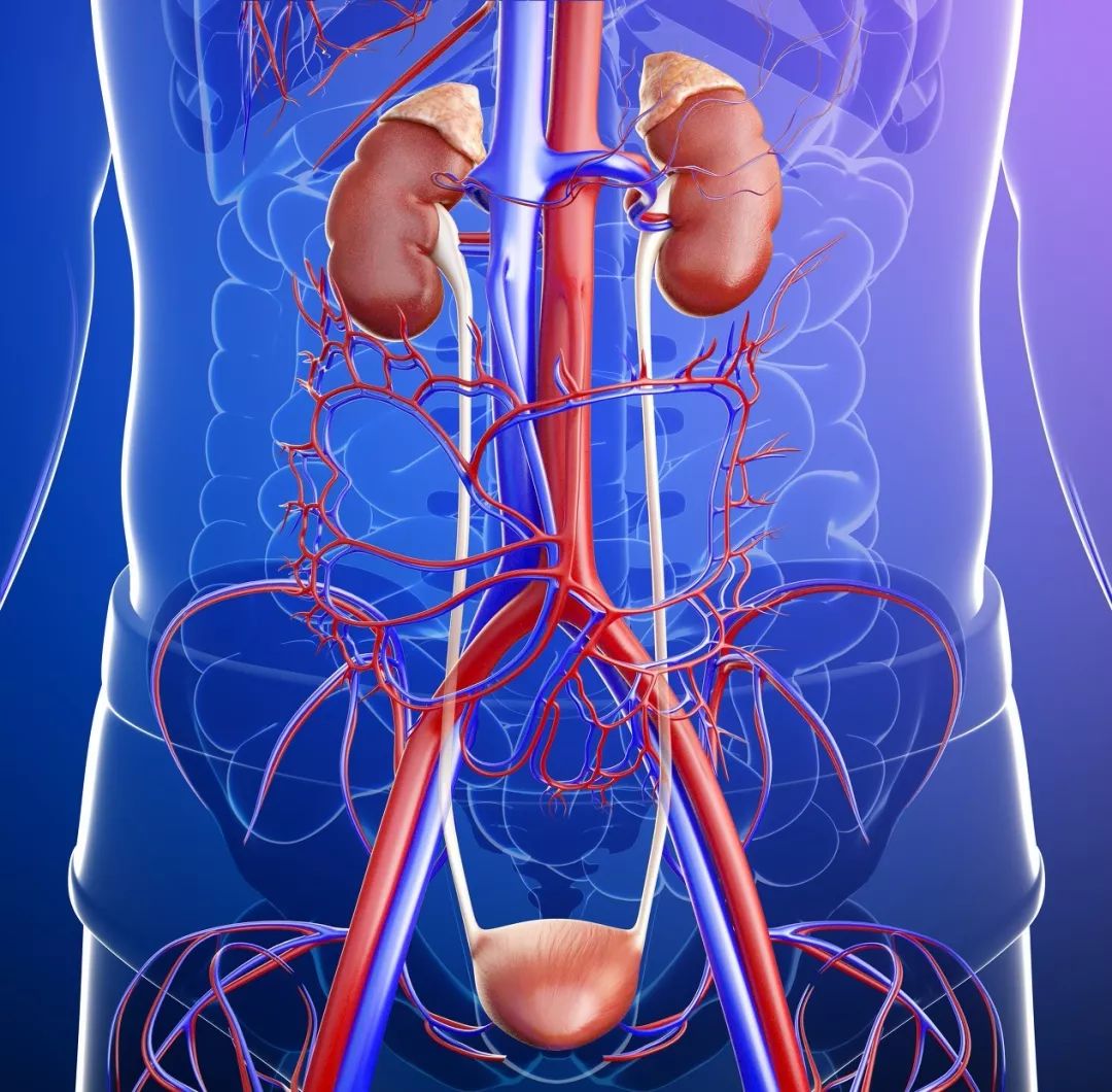 重庆附一院出名的科室有哪些,重庆西南医院擅长哪些科室