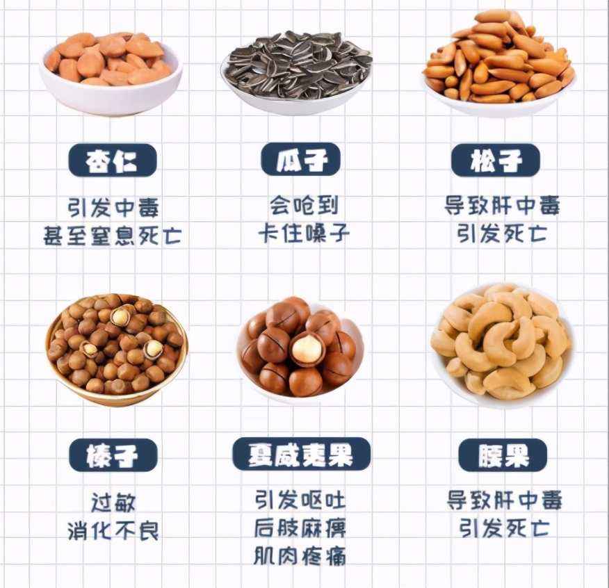 狗狗刚到家铲屎官注意事项,铲屎官必知的6个狗狗喂养好习惯