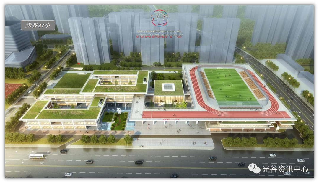 开挂了！比肩世界的爆款区域利好多到数不清！一般人已高攀不起