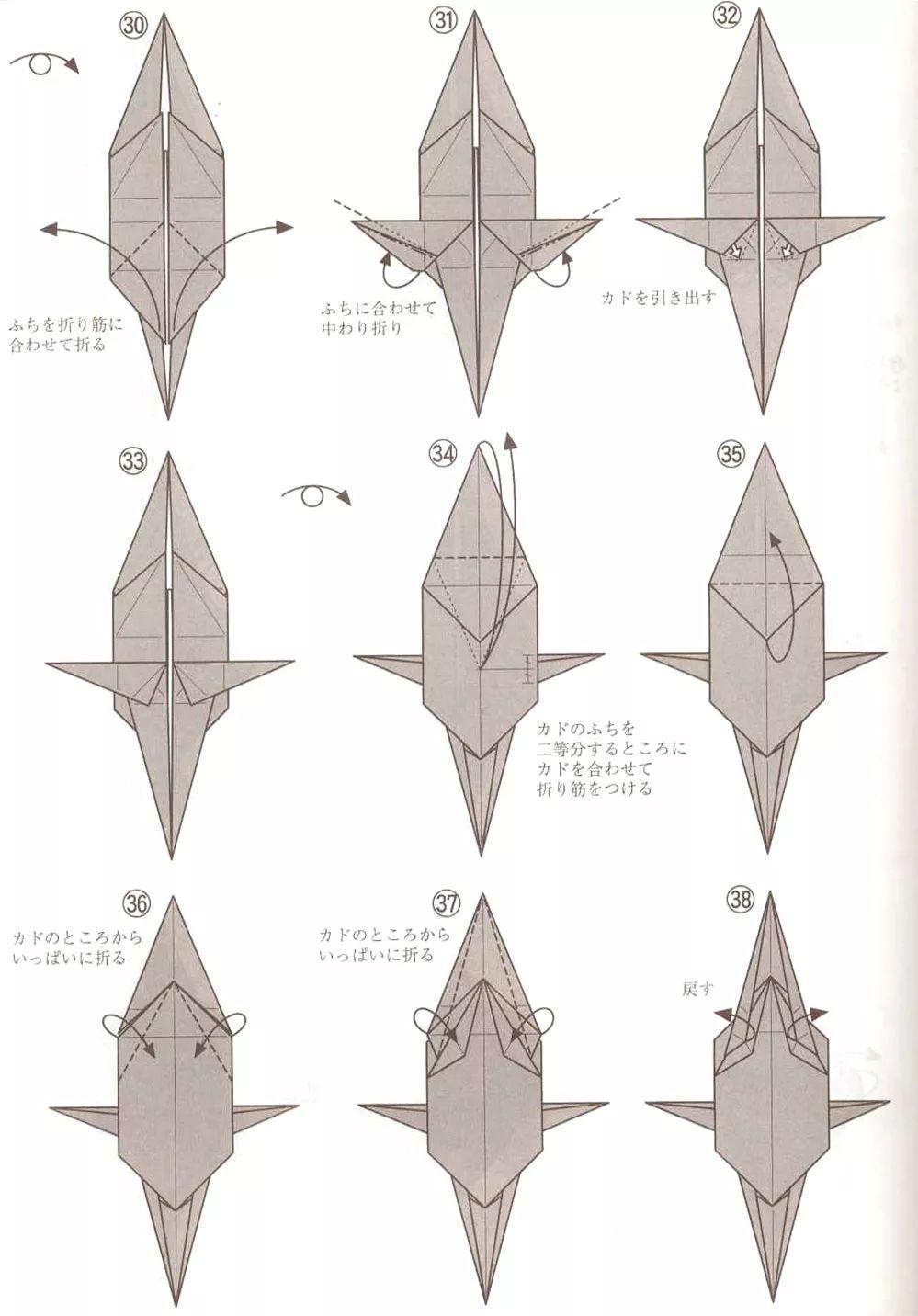 今天要折的异特龙是最凶猛的恐龙之一呢