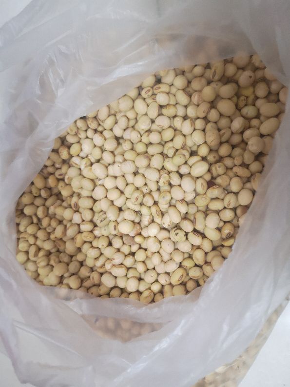 大米的米虫子怎么去除,大米有蛀米虫怎么办