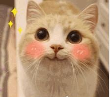 省钱的特效药,省钱的药有哪些