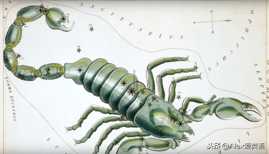 姝灉浠佸鏄熷骇璇勪环,姝灉浠佺溂涓殑鏄熷骇