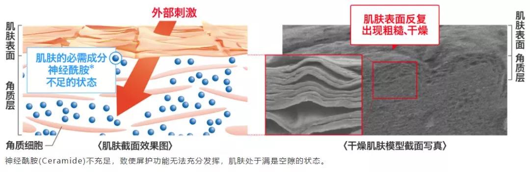 日本curel珂润补水,日本curel珂润化妆水乳液