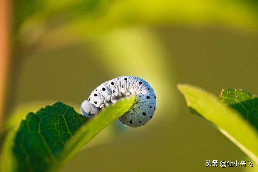 小满未满小得盈满,小满知足盈满常乐