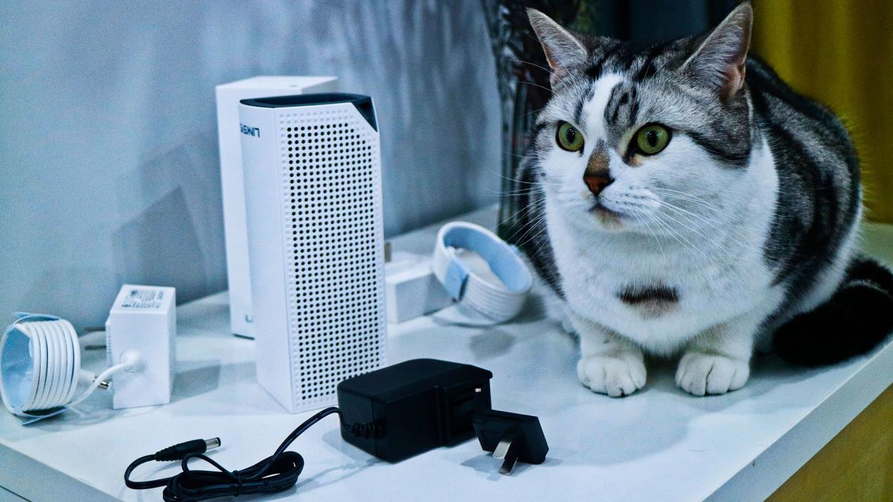 新居全屋MESH组网：领势MR8300+WHW0302