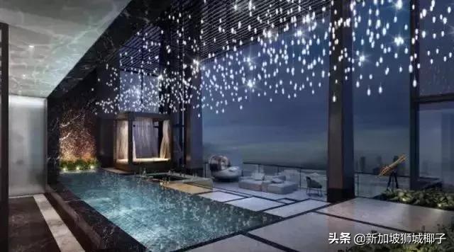 新加坡最贵的东西是什么,什么东西新加坡很便宜中国很贵