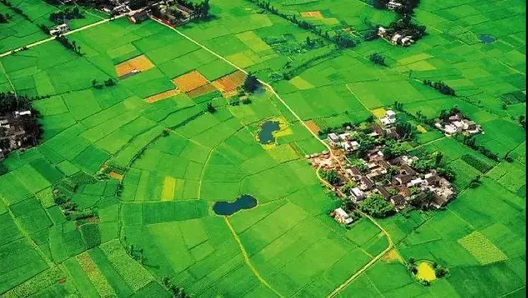 邹迎晞:“田园+乐园+家园”是田园综合体全产业链设计的实践之路