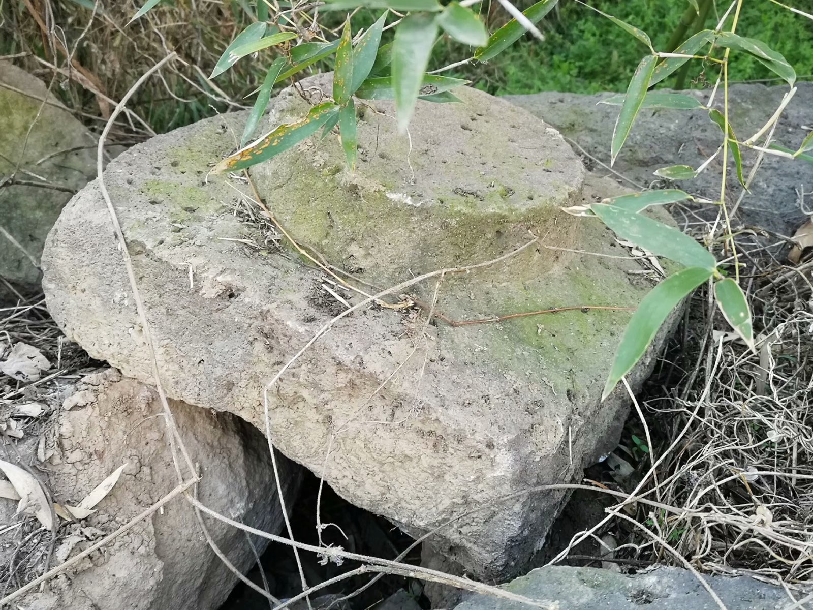 摩托周边旮旯游——探访明光法华禅庵塔