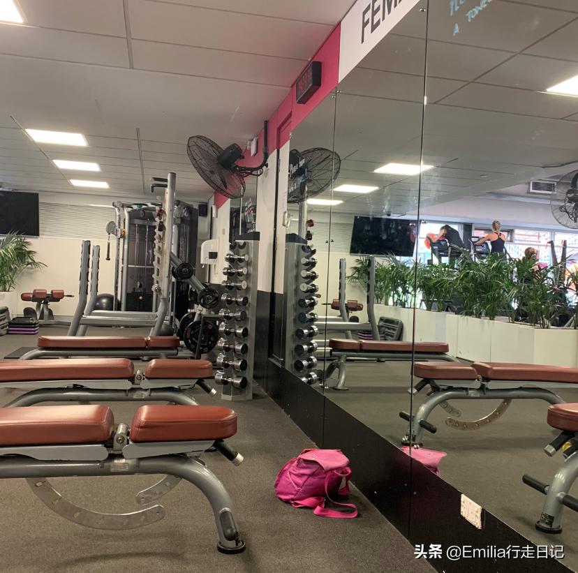 澳洲人居住的真实生活,在悉尼的感受