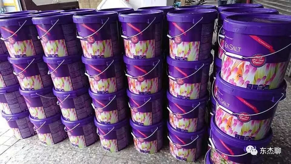 海水鱼缸中的海水怎么来,海水鱼缸的三个基本知识