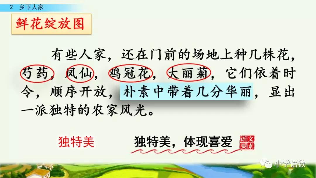 四年级下册乡下人家小练笔350字,四年级语文下册繁星精讲教学视频