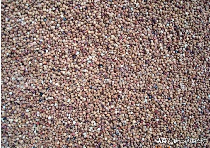 8步教你用唐三镜烤酒设备酿出美味的四川小曲高粱酒