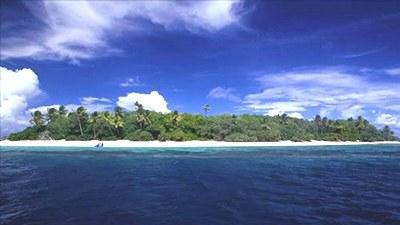 一个靠卖鸟粪而致富的国家,靠卖鸟粪致富的国家有哪几个