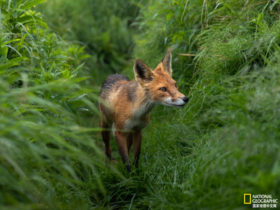 阿拉斯加听海,在阿拉斯加海湾听海