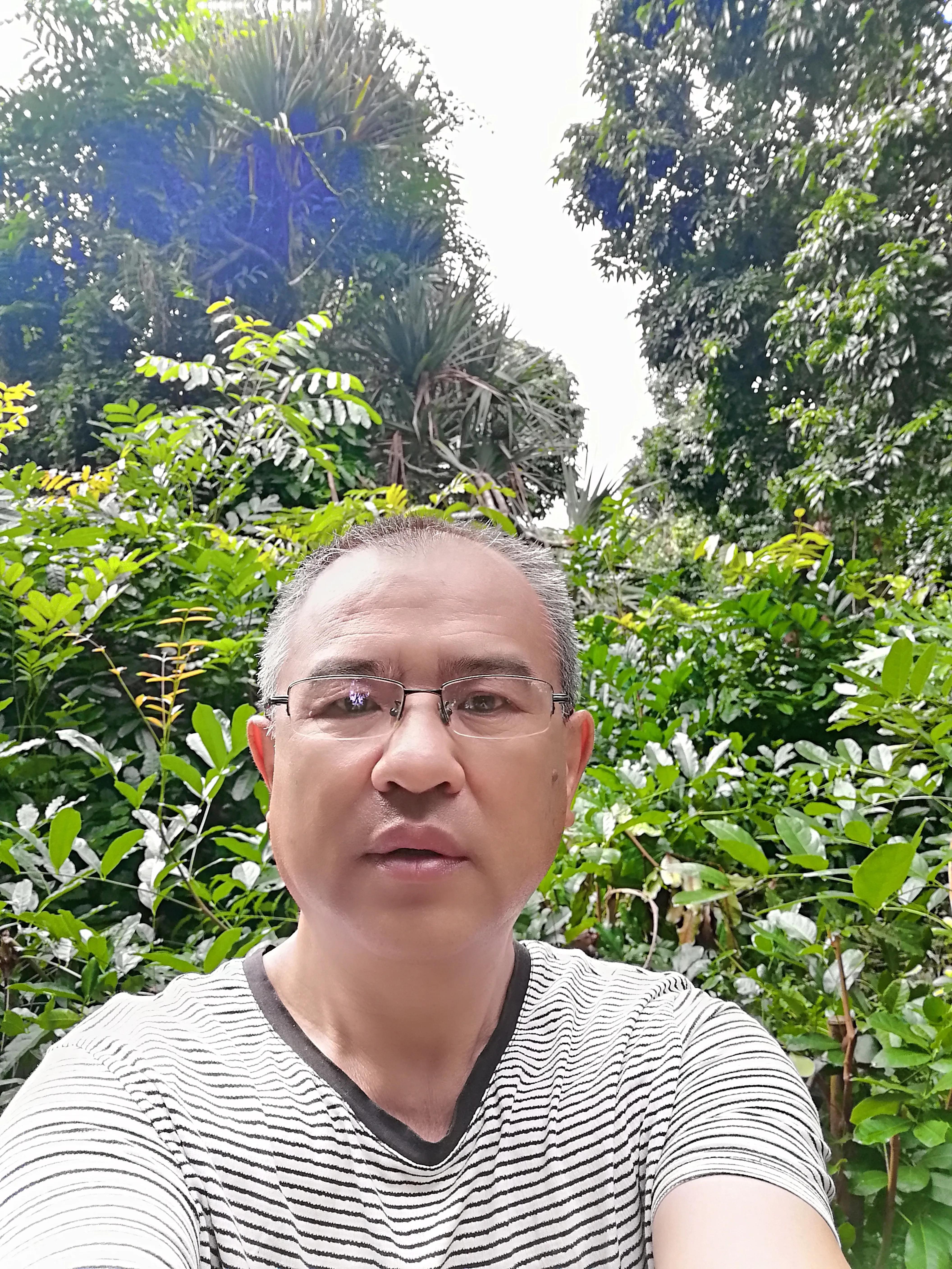 景洪市西双版纳风情园视频,西双版纳景洪市民族风情园