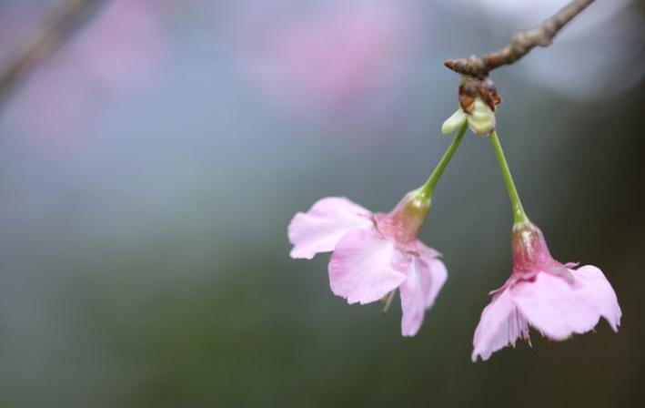如果你爱上了一个有家庭的男人,要学会如此做