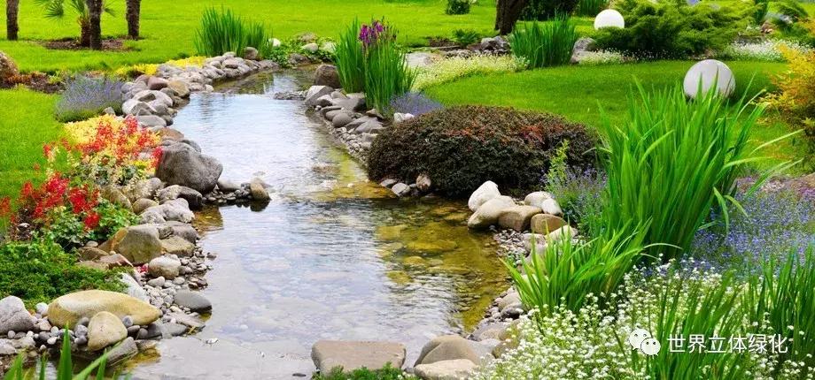 为什么园艺疗法能快速发展,园艺疗法的应用领域