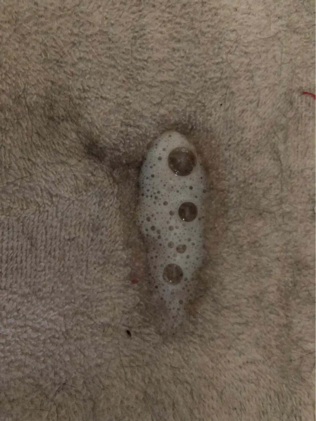 猫猫肠胃炎需要隔离吗,猫猫胃肠炎的症状及治疗方法