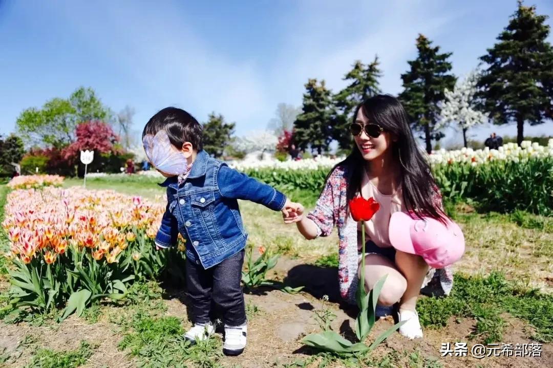 荷兰小镇郁金香盛开,荷兰小镇郁金香花海