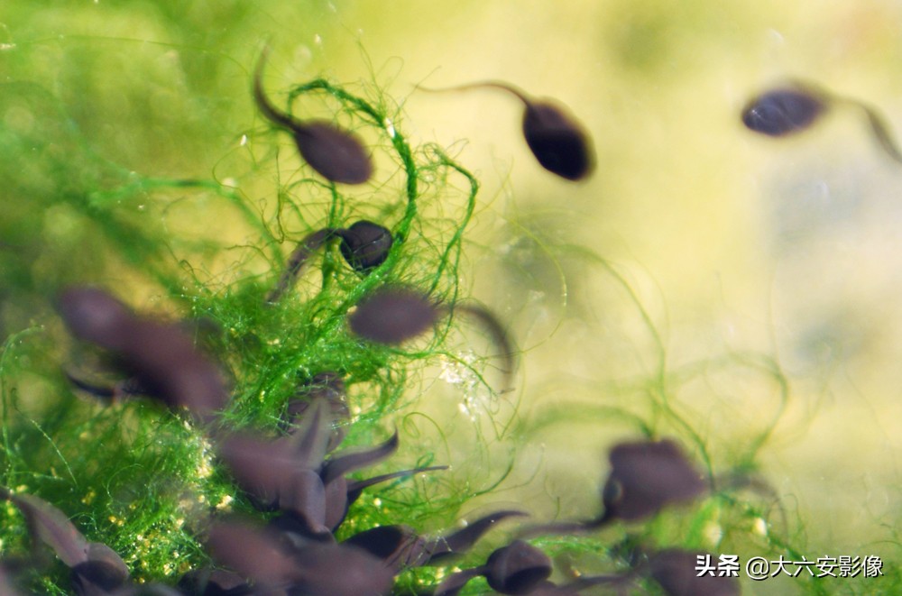 惊蛰到万物生儿歌,惊蛰到春雷响大地万物齐生长儿歌