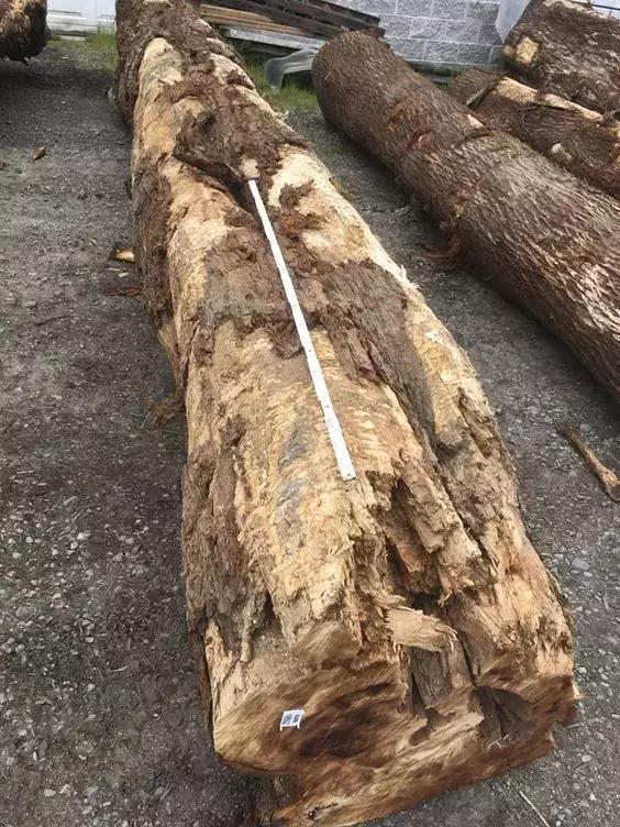 黑胡桃三种颜色顺序,十大黑胡桃木品种