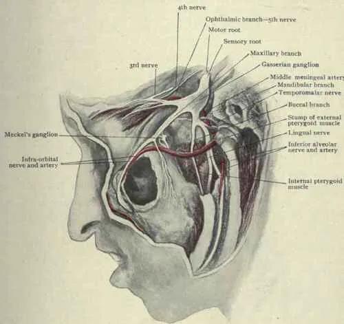 太阳穴和牙疼是不是三叉神经痛,牙疼下巴疼脸也疼是三叉神经疼吗