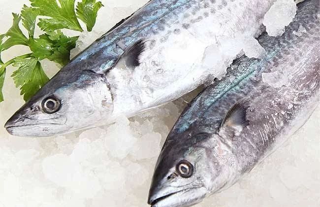 猫为什么不能多吃谷物,猫咪喜欢吃狗粮怎么办