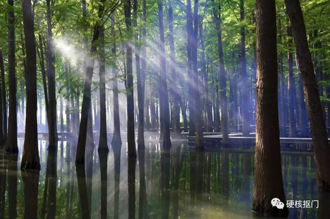 江浙皖五一亲子游冷门旅游景点,郑州出发五一冷门自驾游推荐