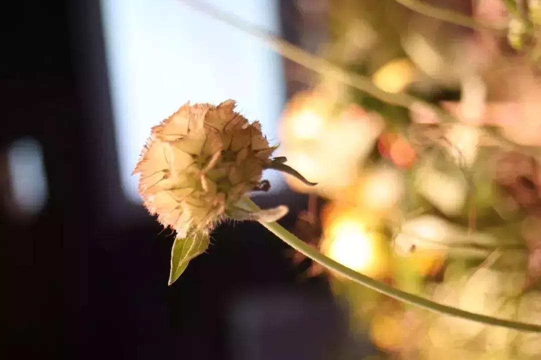 新手开花店怎样入门,怎么快速学开花店