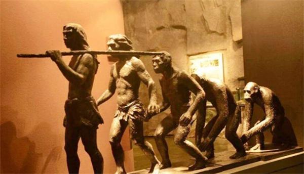 揭开人类进化之谜达尔文,人类起源推翻达尔文进化论